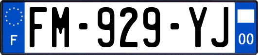 FM-929-YJ
