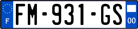 FM-931-GS