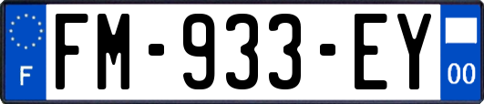 FM-933-EY