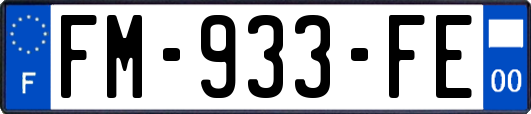 FM-933-FE