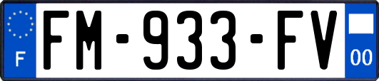 FM-933-FV