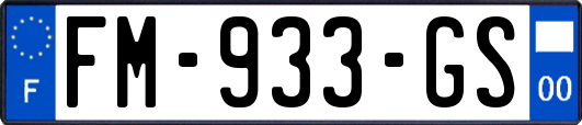 FM-933-GS