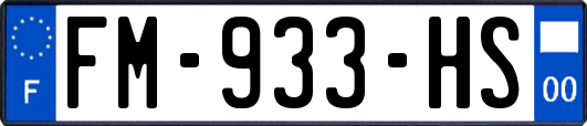 FM-933-HS