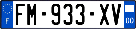 FM-933-XV