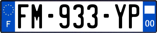 FM-933-YP