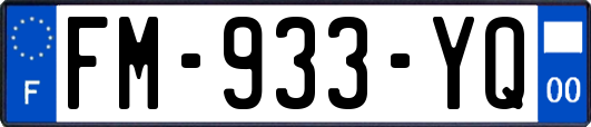 FM-933-YQ