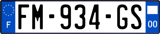 FM-934-GS