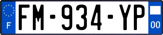 FM-934-YP