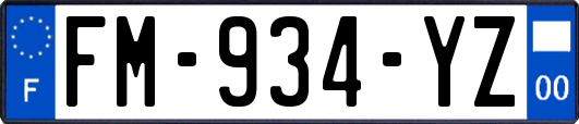 FM-934-YZ
