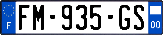 FM-935-GS
