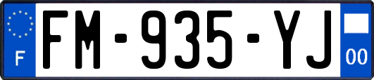 FM-935-YJ