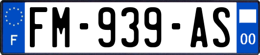 FM-939-AS