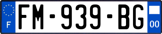 FM-939-BG