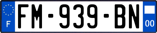 FM-939-BN
