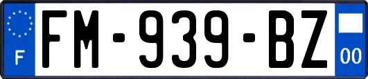 FM-939-BZ