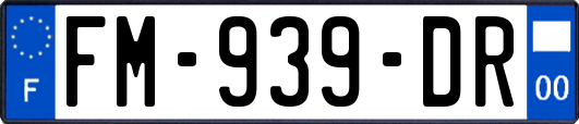 FM-939-DR