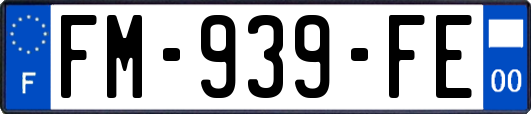 FM-939-FE