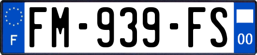 FM-939-FS