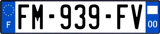 FM-939-FV
