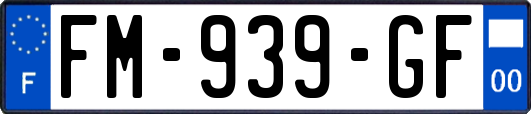 FM-939-GF