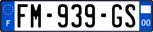 FM-939-GS