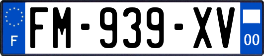 FM-939-XV