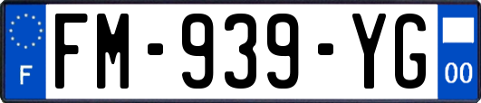 FM-939-YG