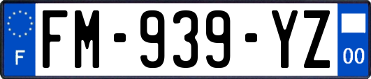 FM-939-YZ