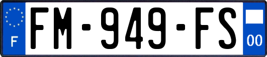 FM-949-FS