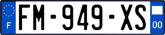FM-949-XS