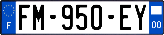 FM-950-EY