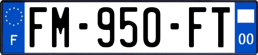 FM-950-FT