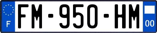FM-950-HM