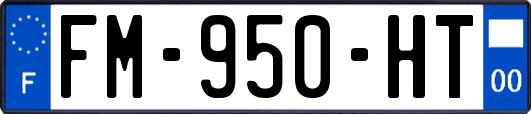 FM-950-HT