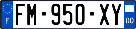 FM-950-XY