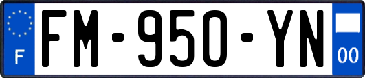 FM-950-YN