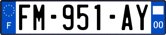 FM-951-AY