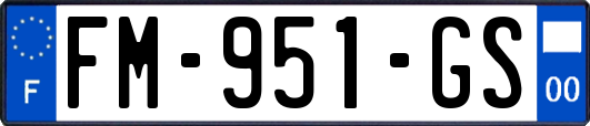 FM-951-GS