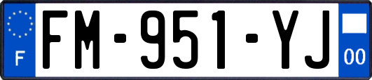 FM-951-YJ