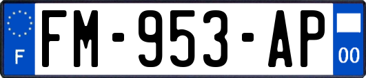 FM-953-AP