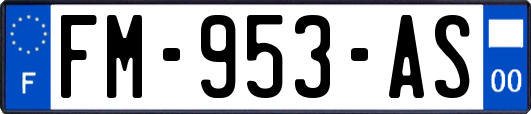 FM-953-AS