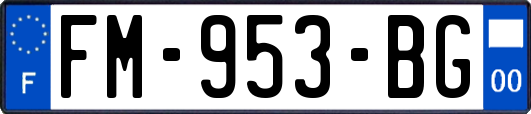 FM-953-BG