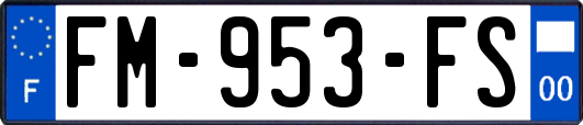 FM-953-FS