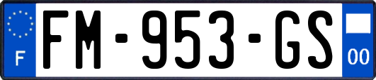 FM-953-GS