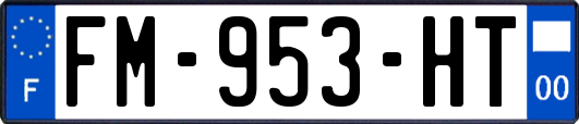FM-953-HT