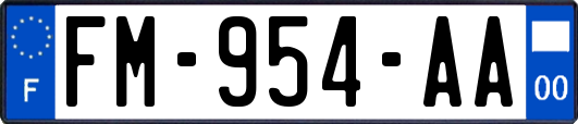 FM-954-AA