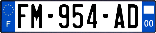 FM-954-AD