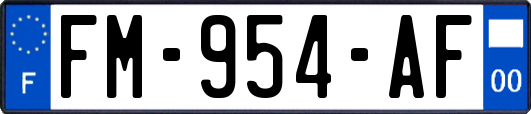 FM-954-AF