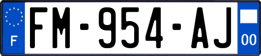 FM-954-AJ