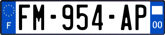 FM-954-AP